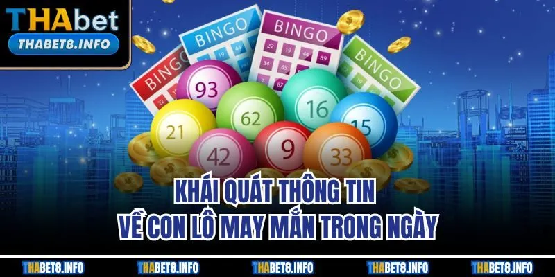 Khái quát thông tin về con lô may mắn trong ngày Khái quát thông tin về con lô may mắn trong ngày
